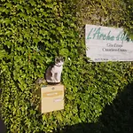 L'arche D'yvann Couette-café *